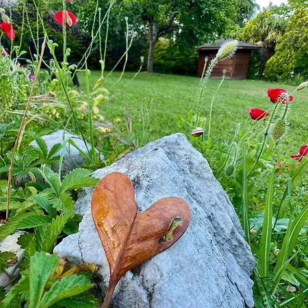 La Baronata - לינה וארוחת בוקר Pescosansonesco